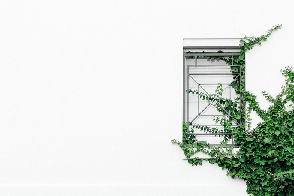 Image by Ben Neale