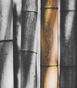 Image by Bundo Kim