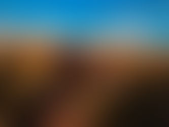 Sve što trebate znati o lovačkim psima i gdje ih nabaviti