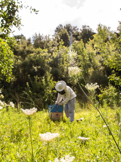 Image de Bee Naturalles