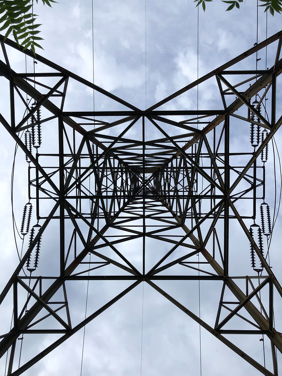 Image by Ali Grivani