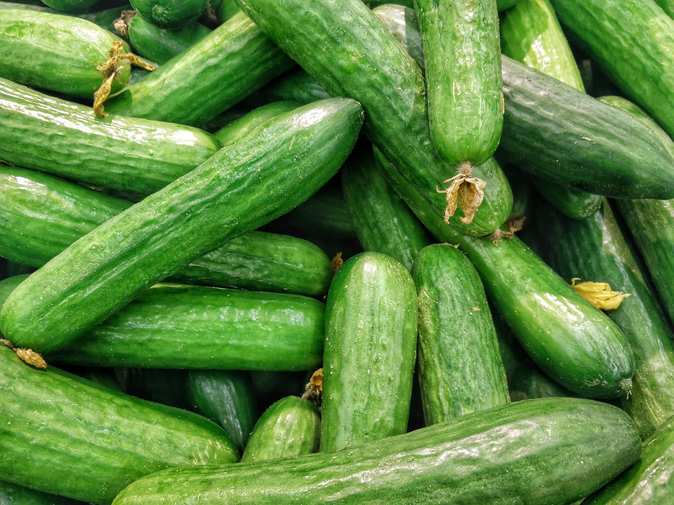 National Cucumber Day