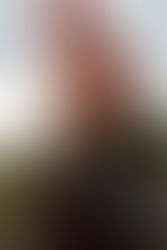 Fragile Resources Overwhelmed 