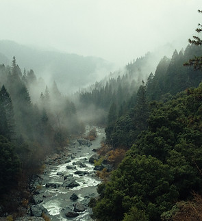 Image by pine  watt