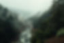 Landscape view - misty pine forest with river.