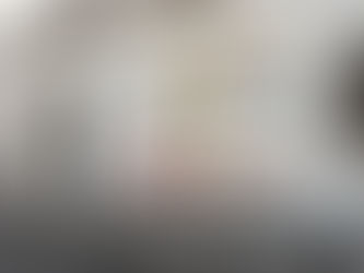 A democracia em ruínas