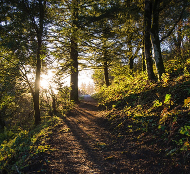 Image by Ethan Dow