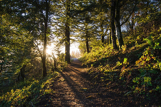 Image by Ethan Dow