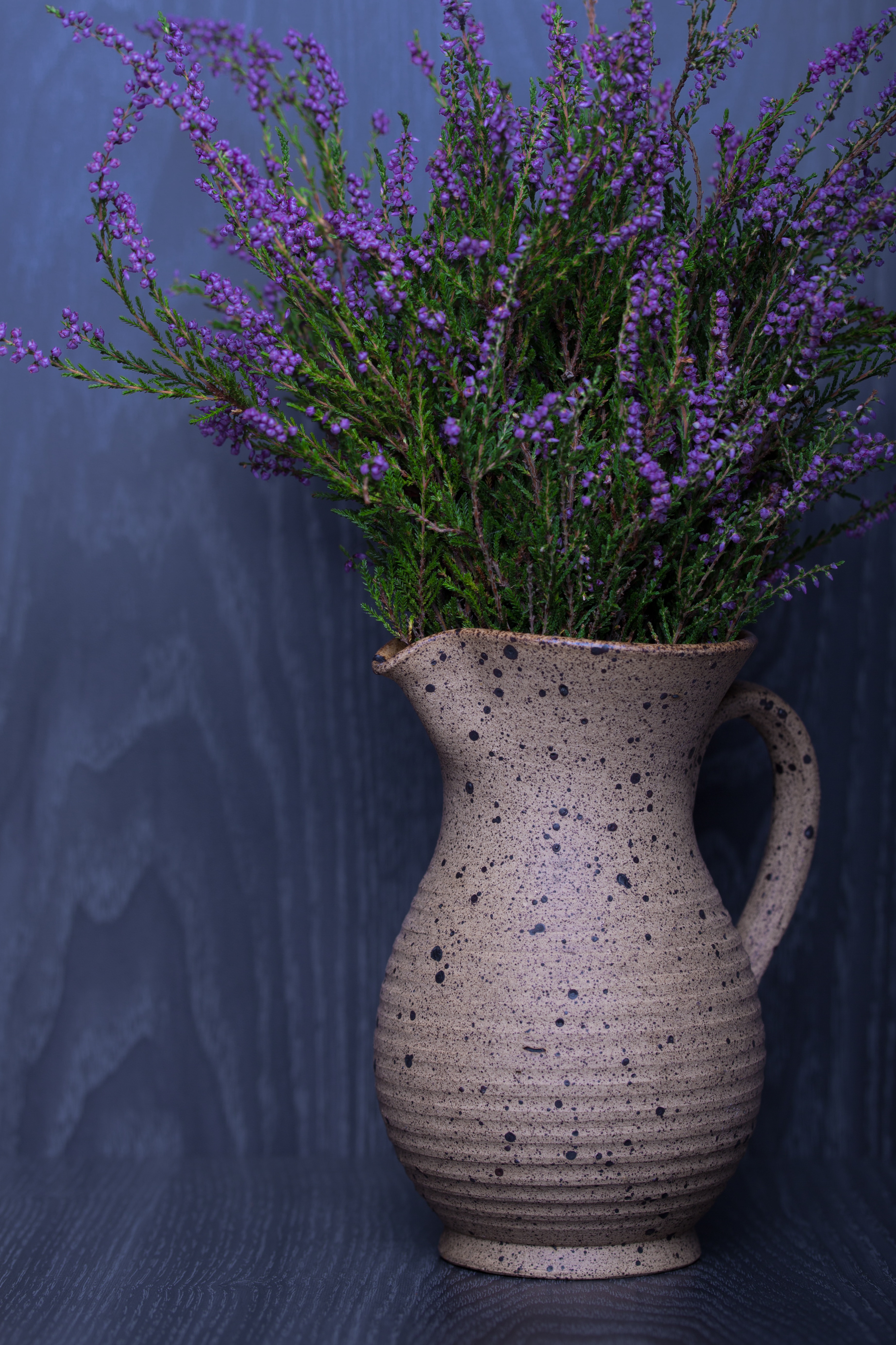 lavender plant repels mosquitos