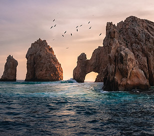 El Arco