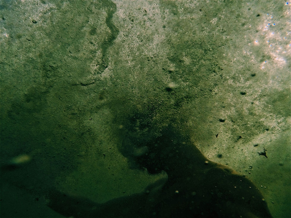 Person submerged in algae water
