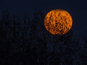 Set The Mood: Spooky Classical Music