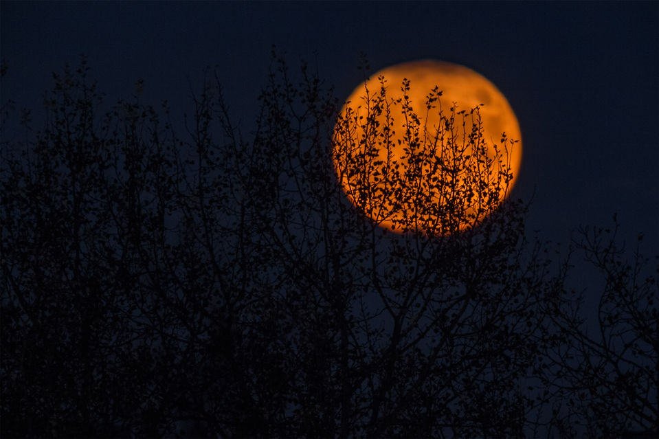 Image by Neven Krcmarek