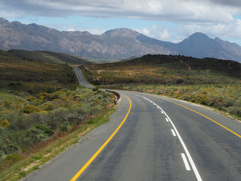 🌿 South Africa’s Hidden Summer Gem: A Journey Through the Soul of the Garden Route