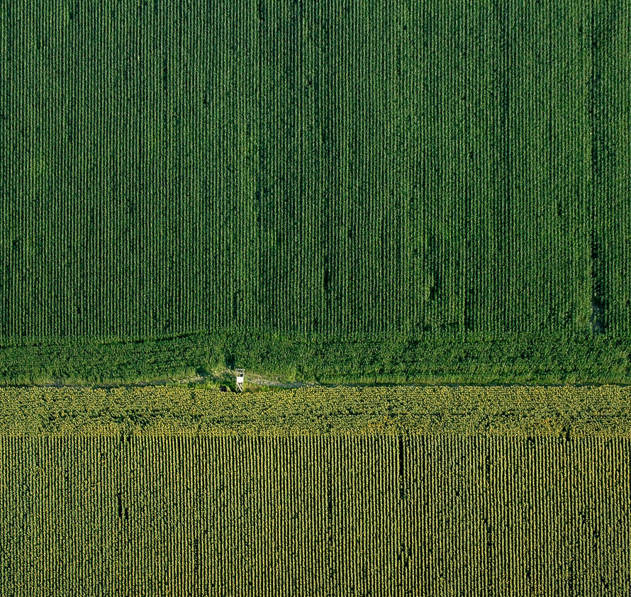 Image by Thaï Ch. Hamelin / ChokdiDesign