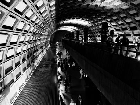 Why Living in Rosslyn is the Hidden Gem You Never Knew You Needed