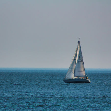 Detoxing the Mind: Renewed by Truth