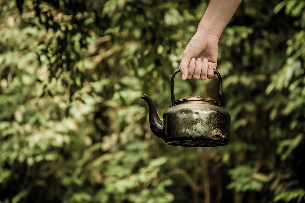 A thrifted tea kettle. Every dent has a story to tell.