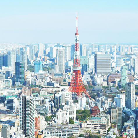 Ultimate Wine Lover’s Guide to Tokyo: Top Wine Bars