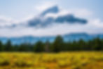 "Trout" Quintet at the Grand Tetons Music Festival