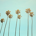 Image by Julian Myles