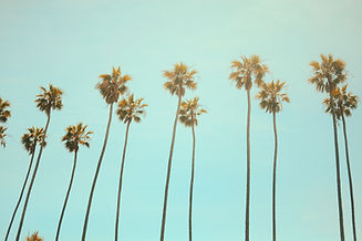 Image by Julian Myles