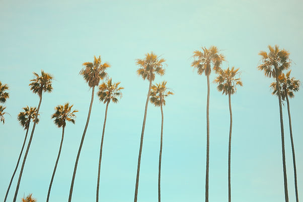 Image by Julian Myles