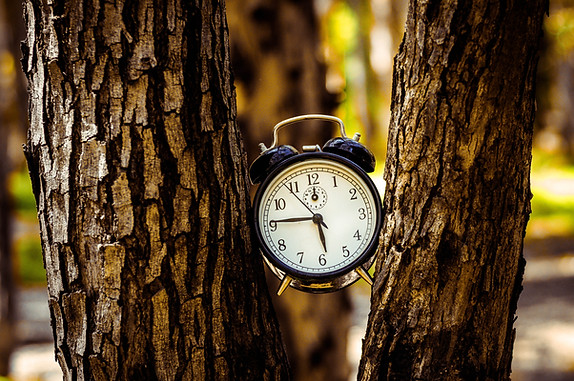 Image by Yaniv Knobel