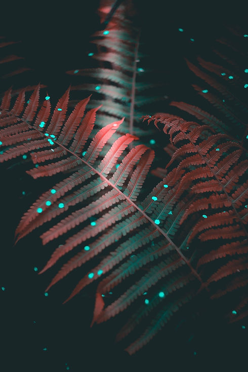 Image by Karina Vorozheeva