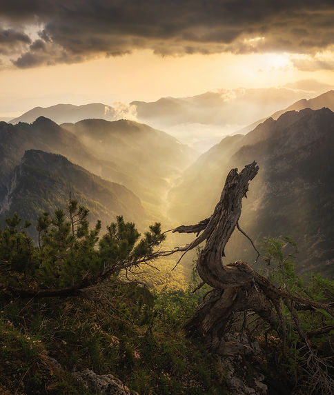 Image de Ales Krivec