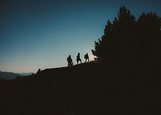 Image by Michael McKay