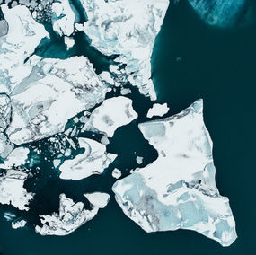 L’ADN de poulpes indique un risque accéléré de fonte des glaces