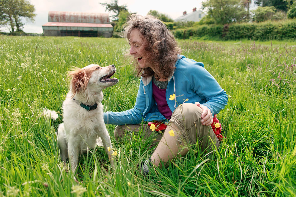 How Your Dog Talks: Understanding Canine Communication