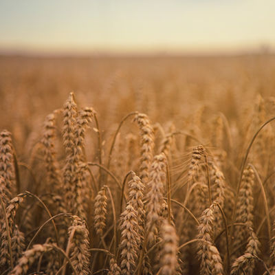 SA Grain Industry Awards to Return in 2026