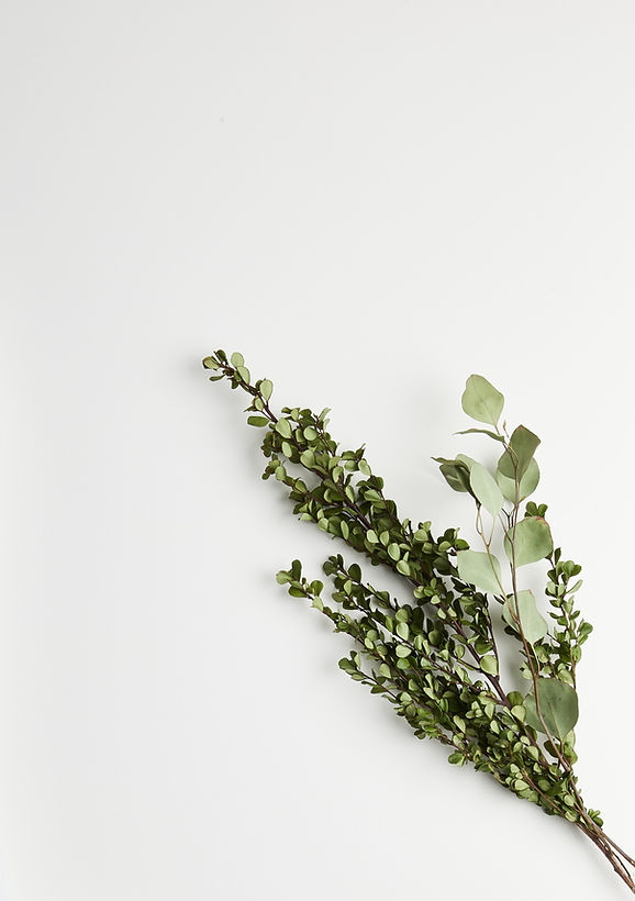 Image by Sarah Boudreau