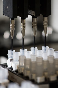 Image by National Cancer Institute