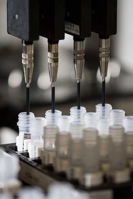 Image by National Cancer Institute
