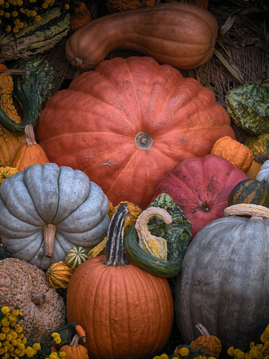 ZUCCA