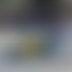 O QUE PODEMOS APRENDER COM O AUTOMOBILISMO