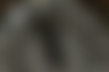 12 Steps to the Magnum Opus: Ripley Scroll