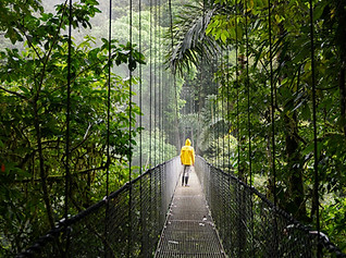 Image by Selina Bubendorfer