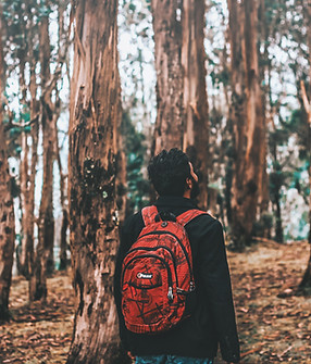 Image by Fayiz Musthafa