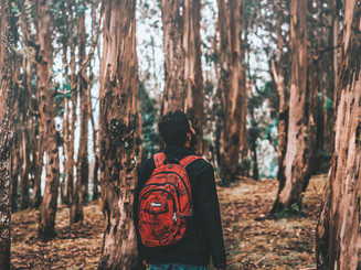 Image by Fayiz Musthafa