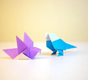 Image by Carolina Garcia Tavizon