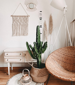 Image by Alyssa Strohmann