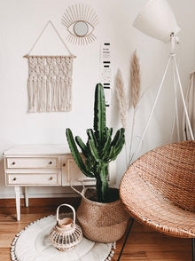 The Ultimate Guide to Wood and Wood Looking Flooring