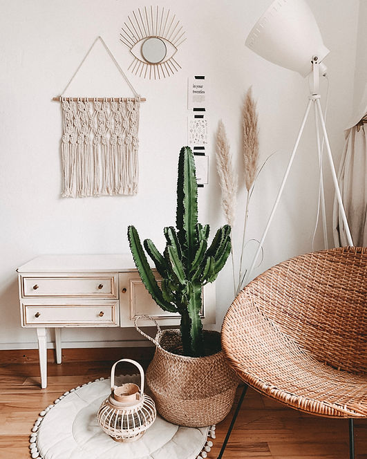 Image by Alyssa Strohmann
