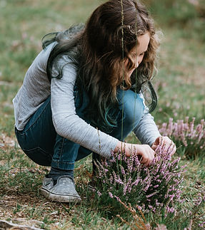 Image by Annie Spratt