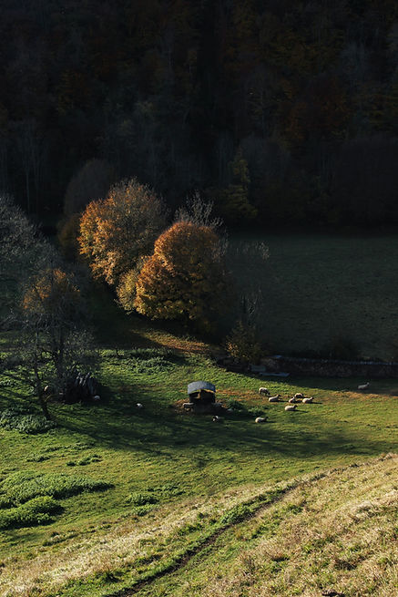 Image by Les routes sans fin(s)