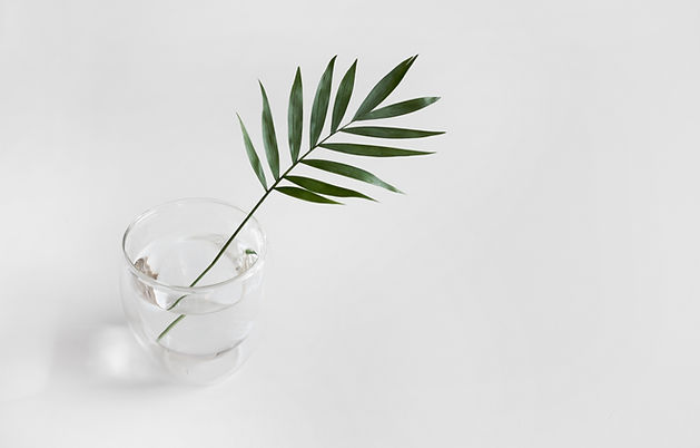 Image by Sarah Dorweiler